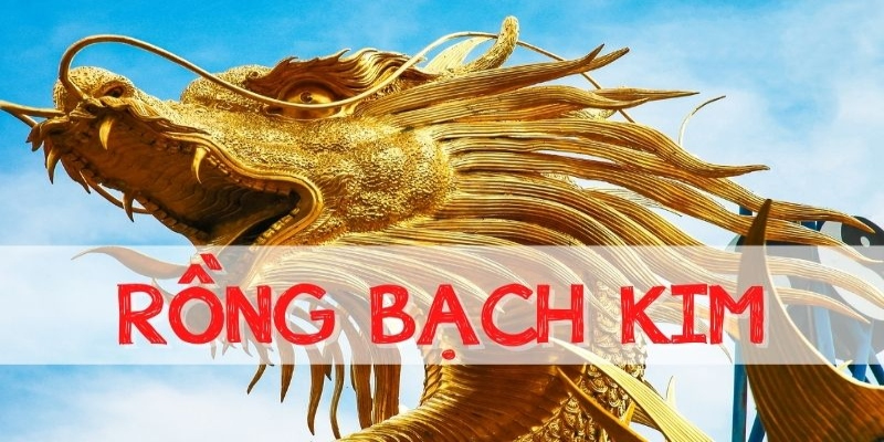 Lưu ý khi soi cầu Rồng Bạch Kim 666.